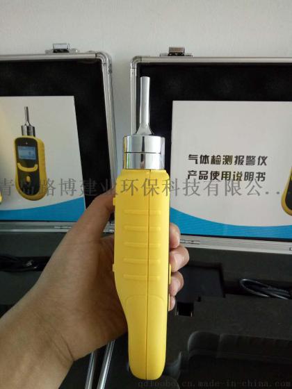 青岛路博LB-BX泵吸式单一气体检测仪