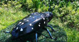 昆虫展览展示昆虫道具昆虫模型昆虫主题展昆虫公园展出租租赁