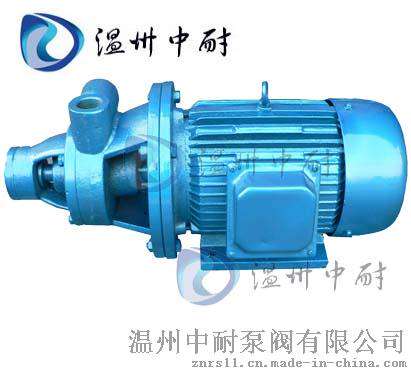 中耐1W系列单级旋涡泵